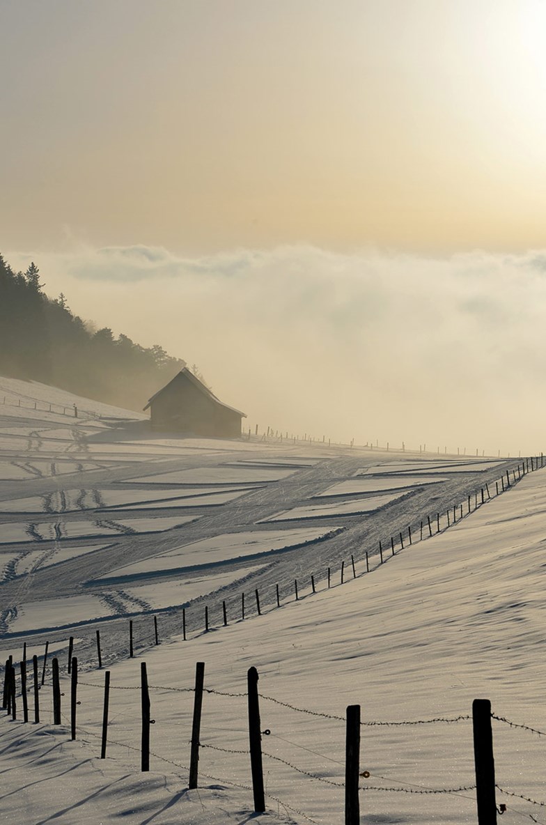 Winter Foto Franz Schweizer, Bretzwil ( )